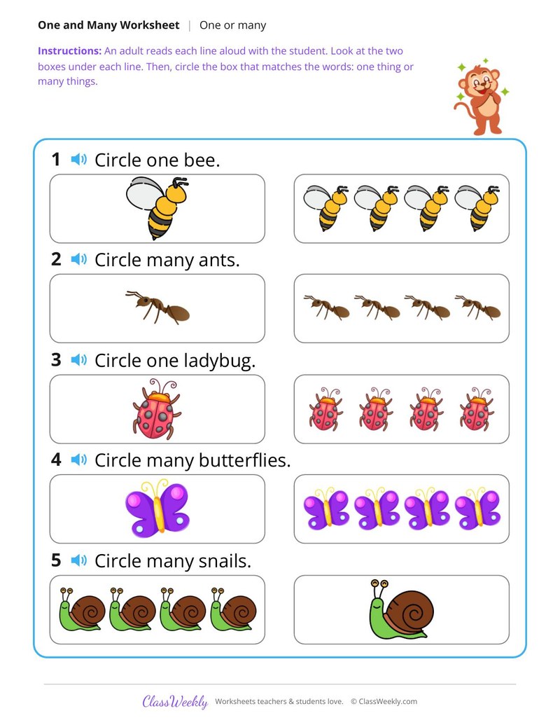 Bugs