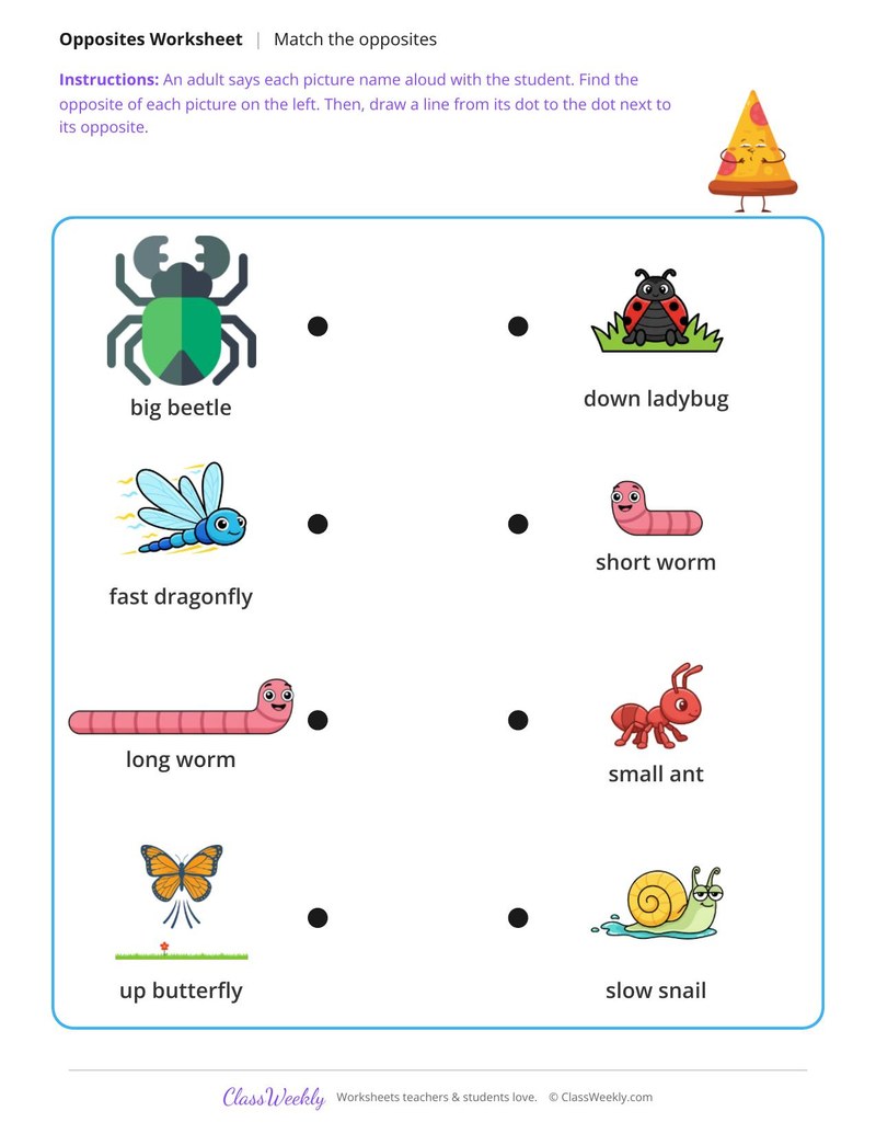 Bugs