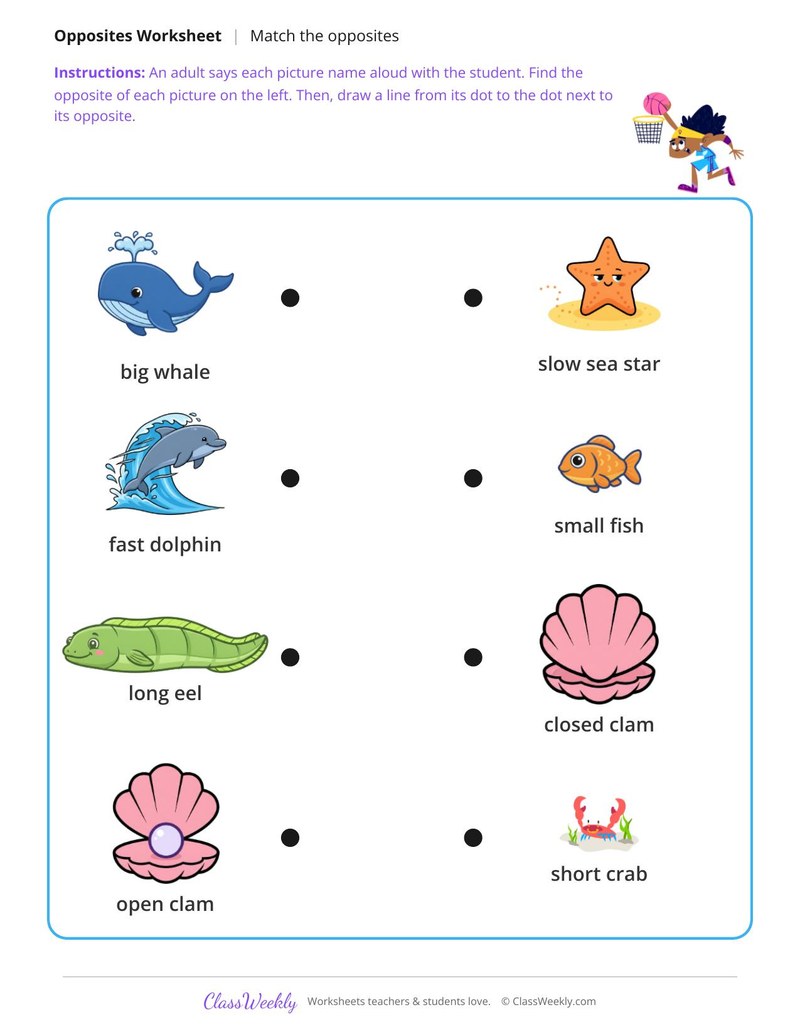Sea animals