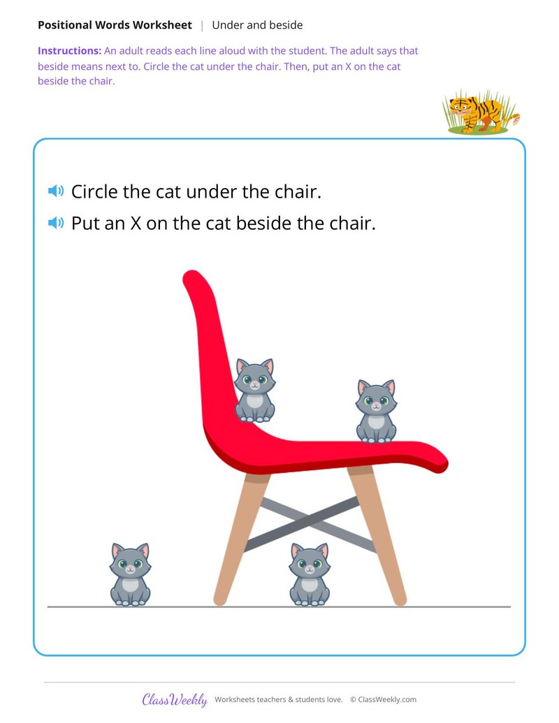 Cat and chair