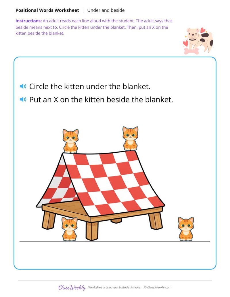 Kitten and blanket