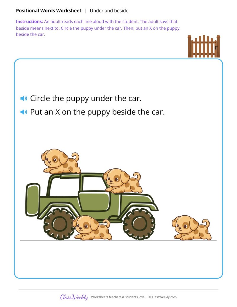 Puppy and car