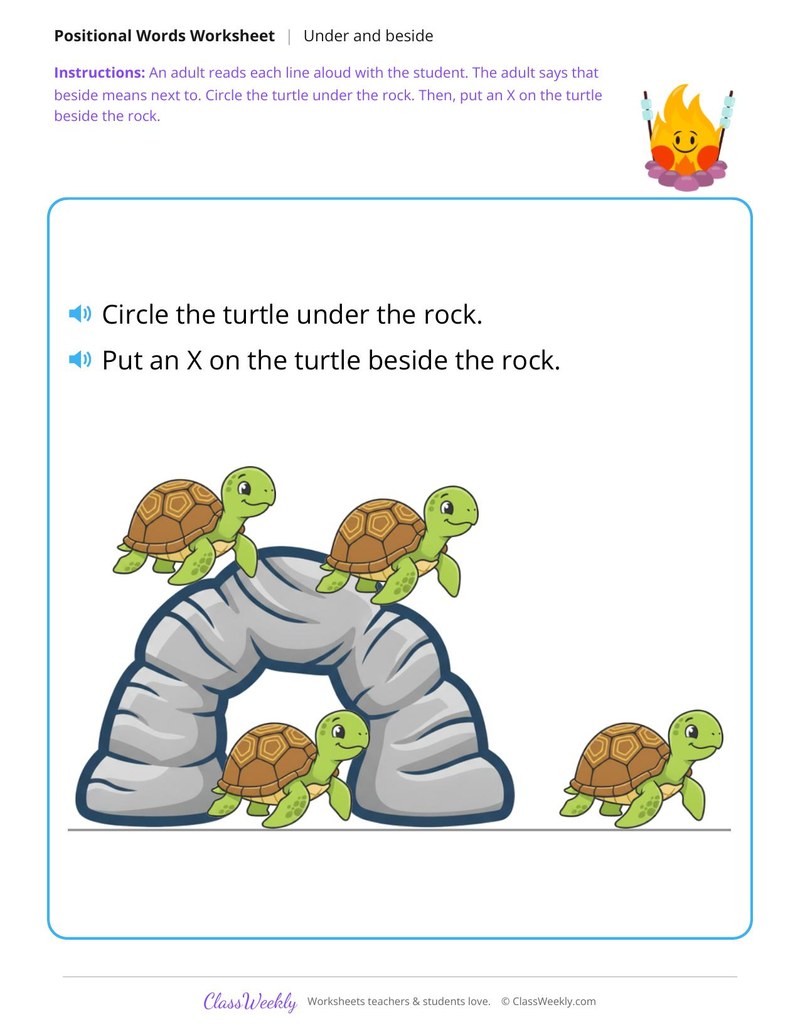 Turtle and rock