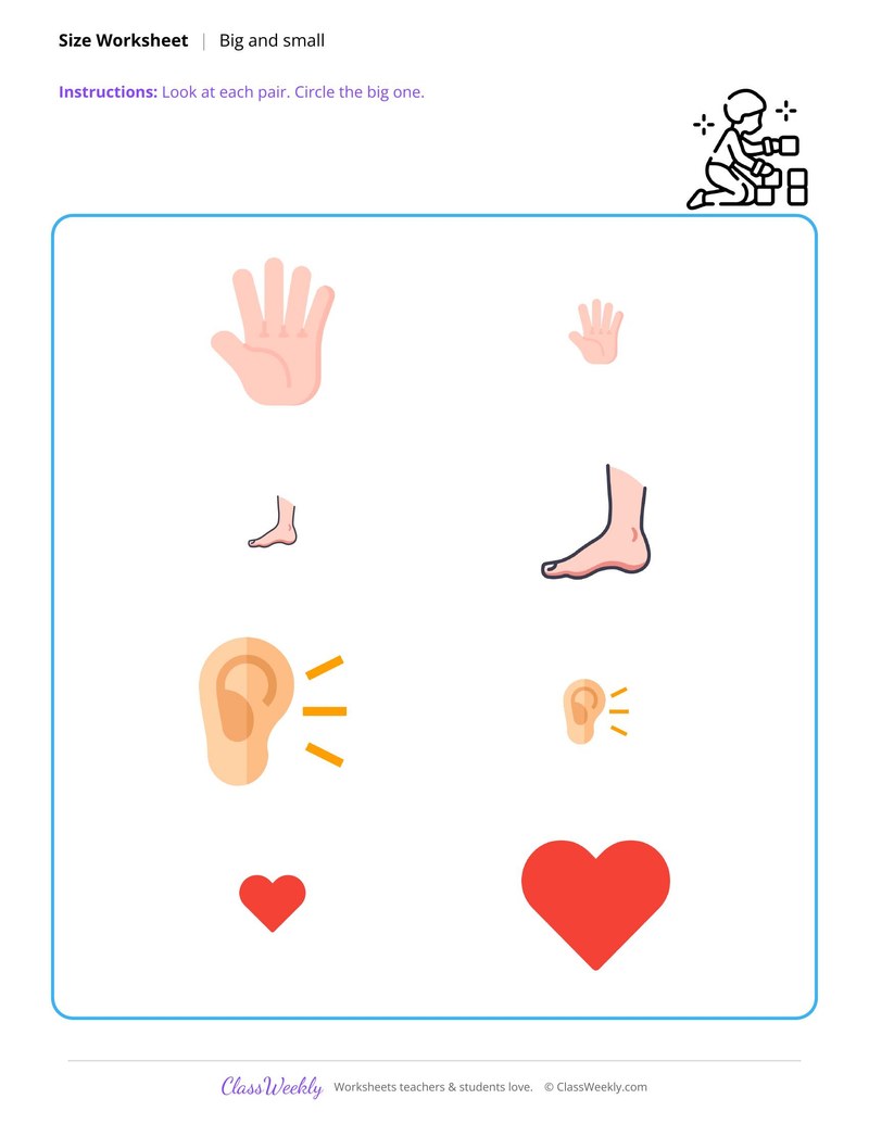 Human Body