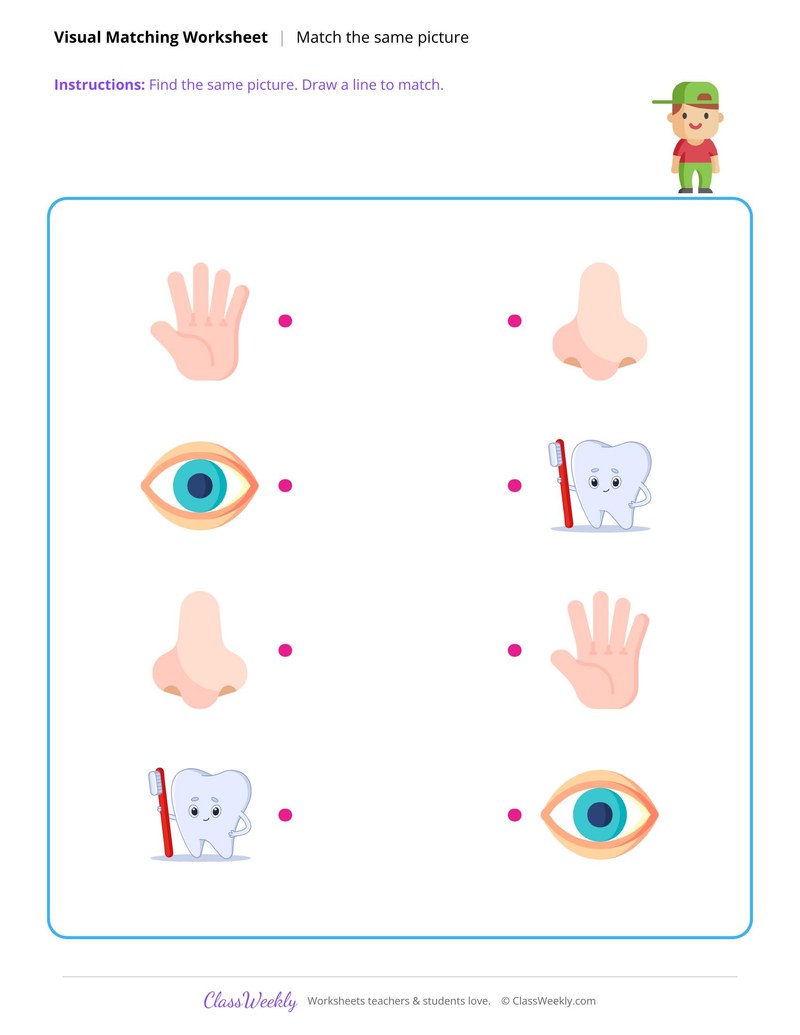Human Body