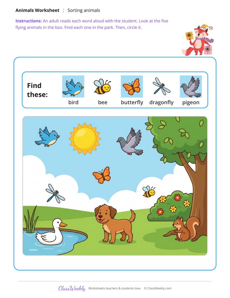 Find the animals that fly - At the park