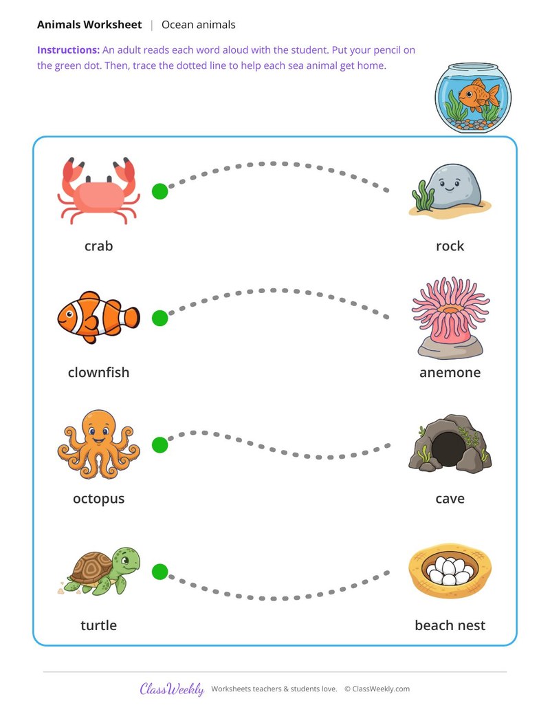 Help the sea animals home - Ocean