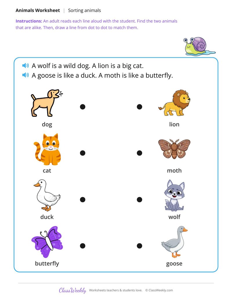 Match the animals that are alike - Same group