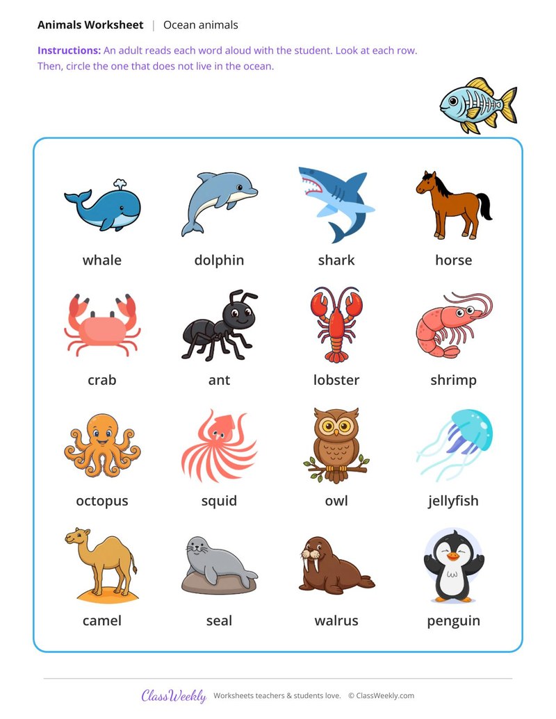 Which one does not live in the ocean? - Four rows