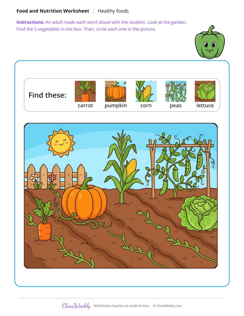 Find the vegetables - In the garden patch