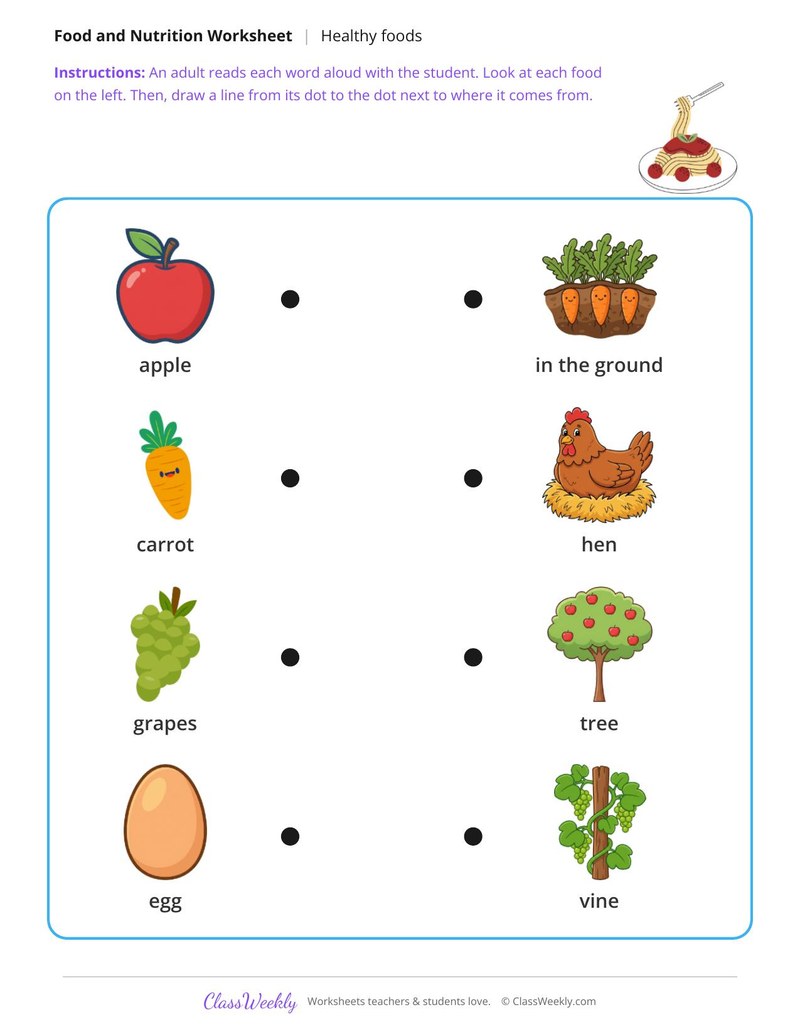 Match the food to where it grows