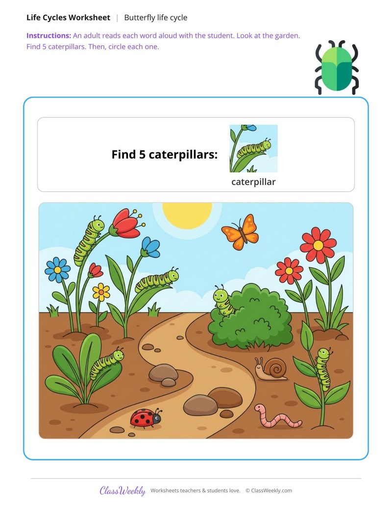 Find the caterpillar