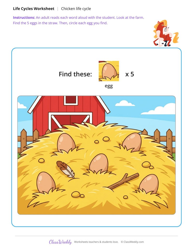Find the eggs - Chicken