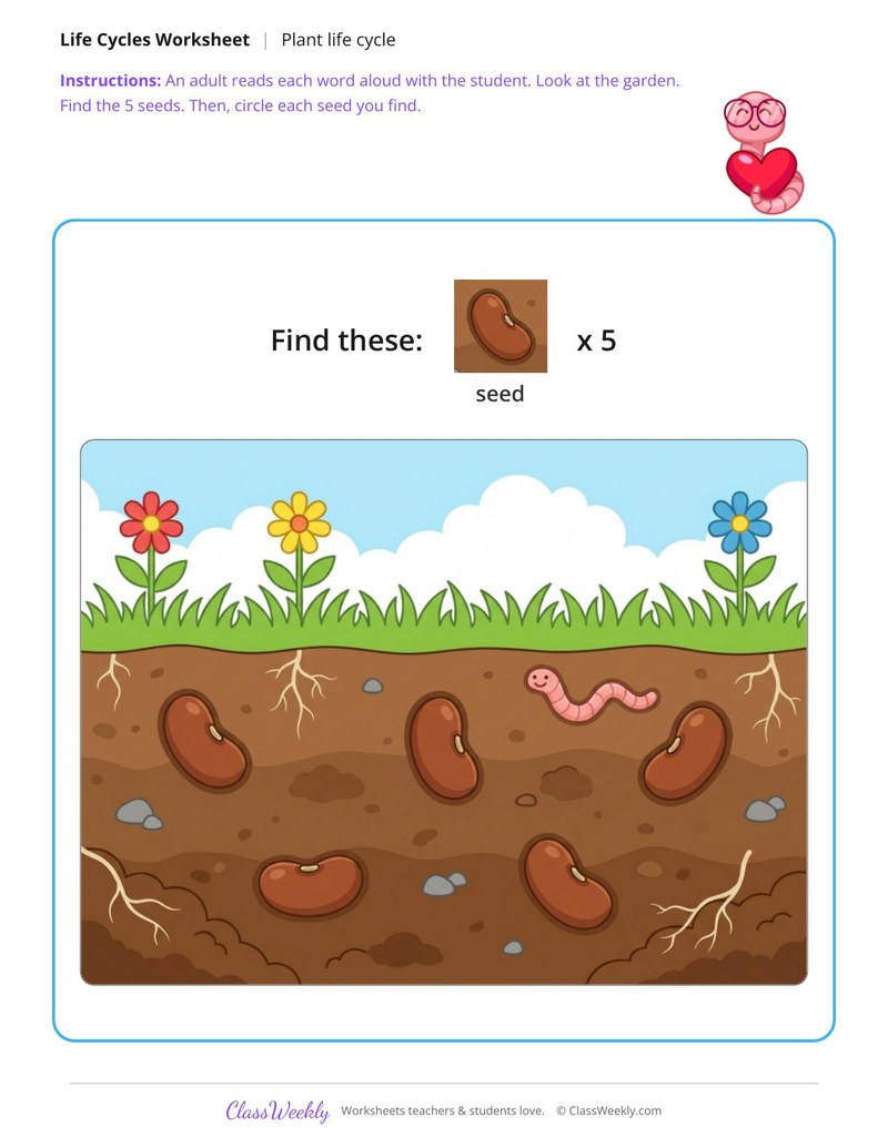Find the seeds - Plant