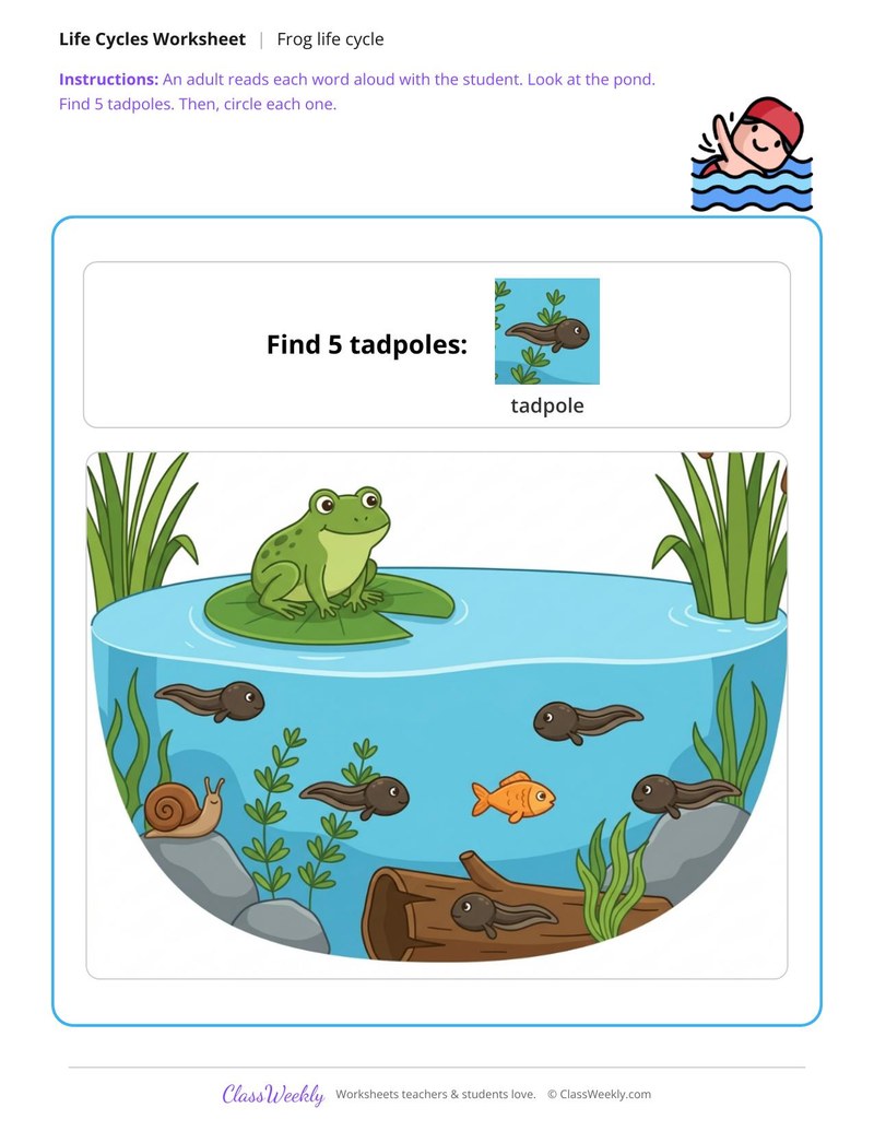 Find the tadpole - Frog