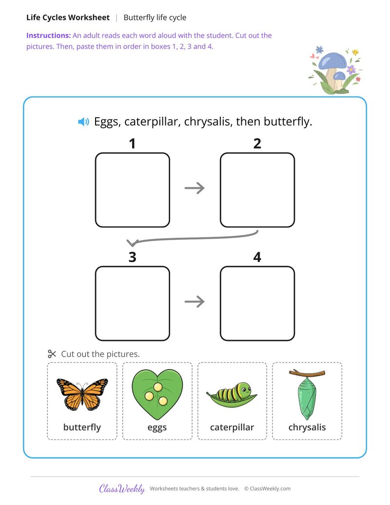 Put the butterfly life cycle in order