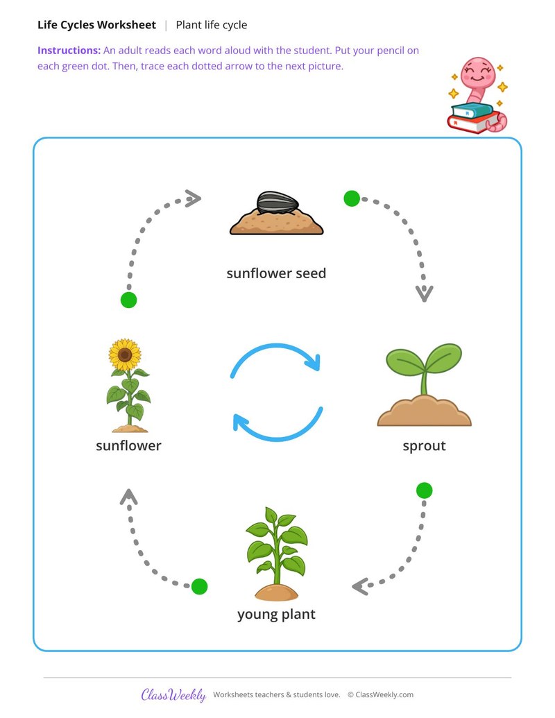 Trace the life cycle arrows - Plant