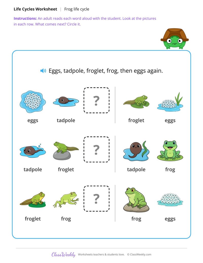 What comes next? - Frog life cycle