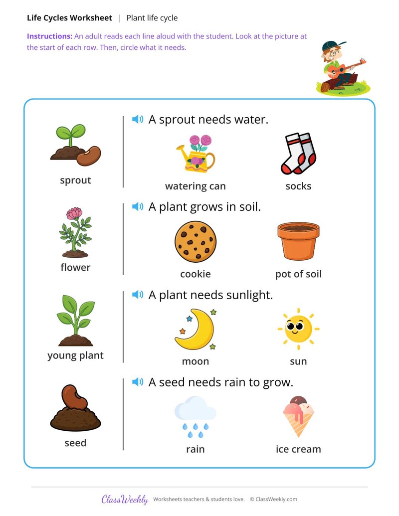What does it need? - Plant