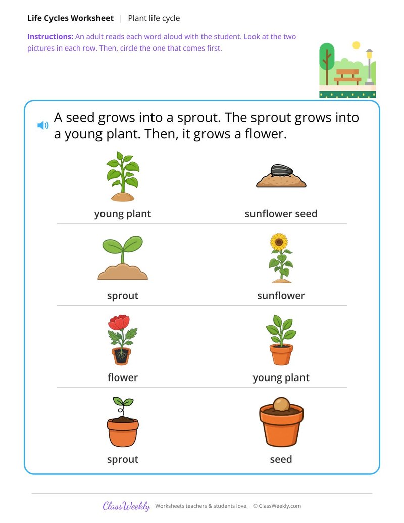 Which comes first? - Plant life cycle