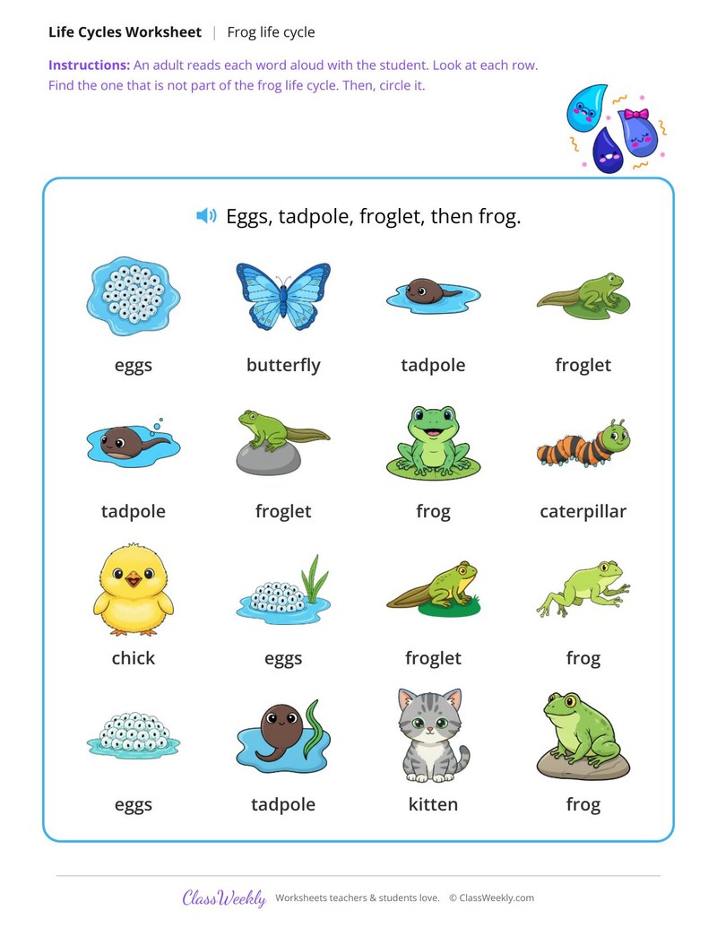 Which one is not part of the cycle? - Frog