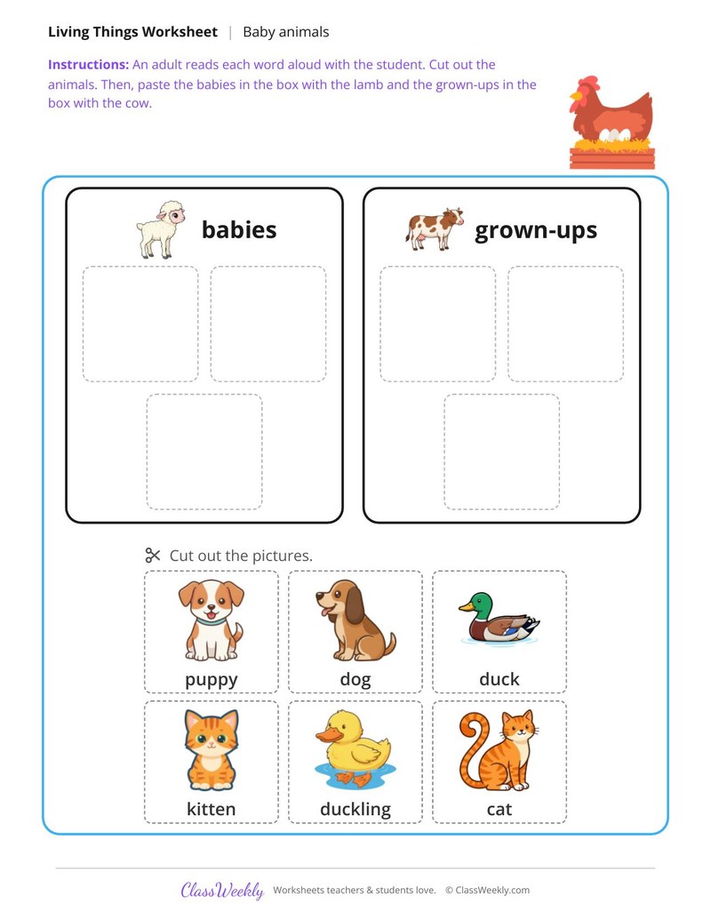 Baby or grown-up - Animals
