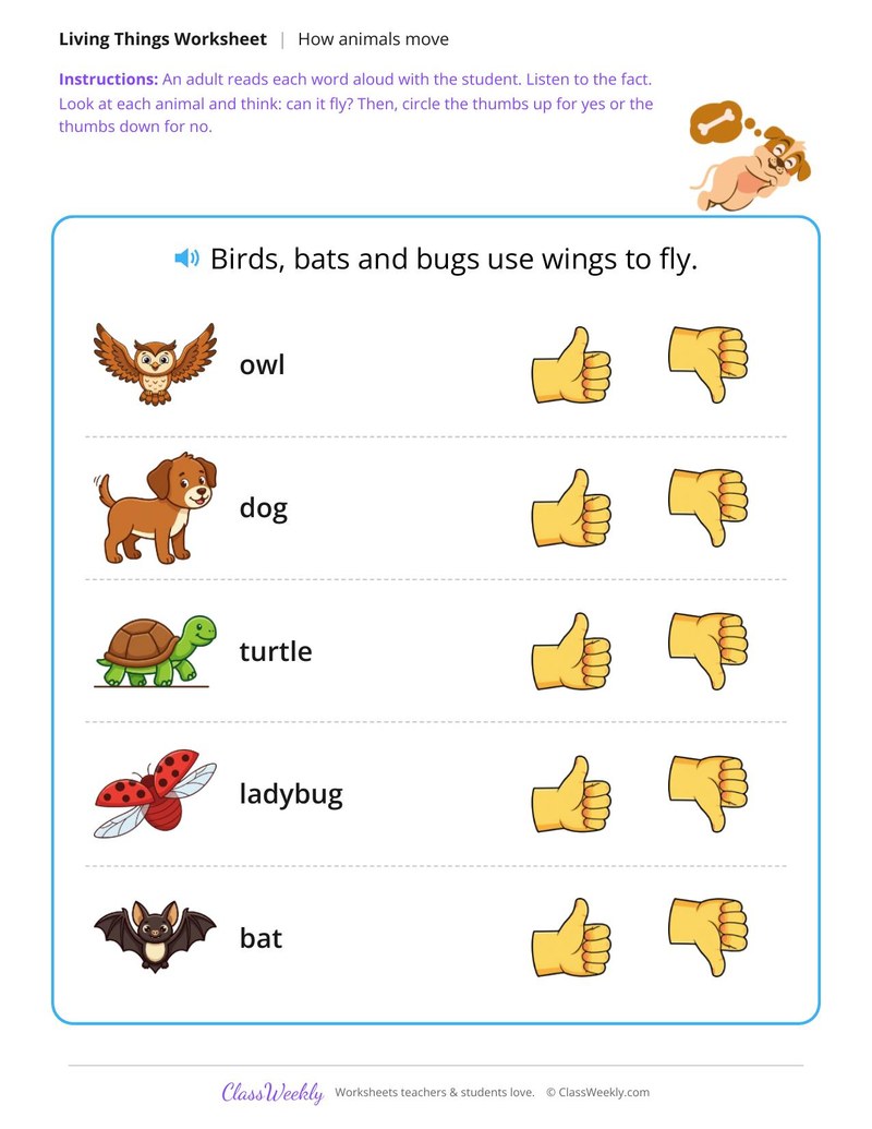 Can it fly? - Yes or no