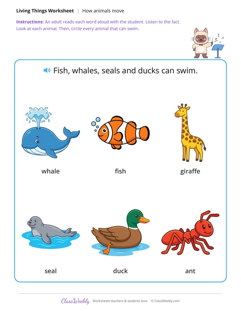 Circle the animals that swim - In the water