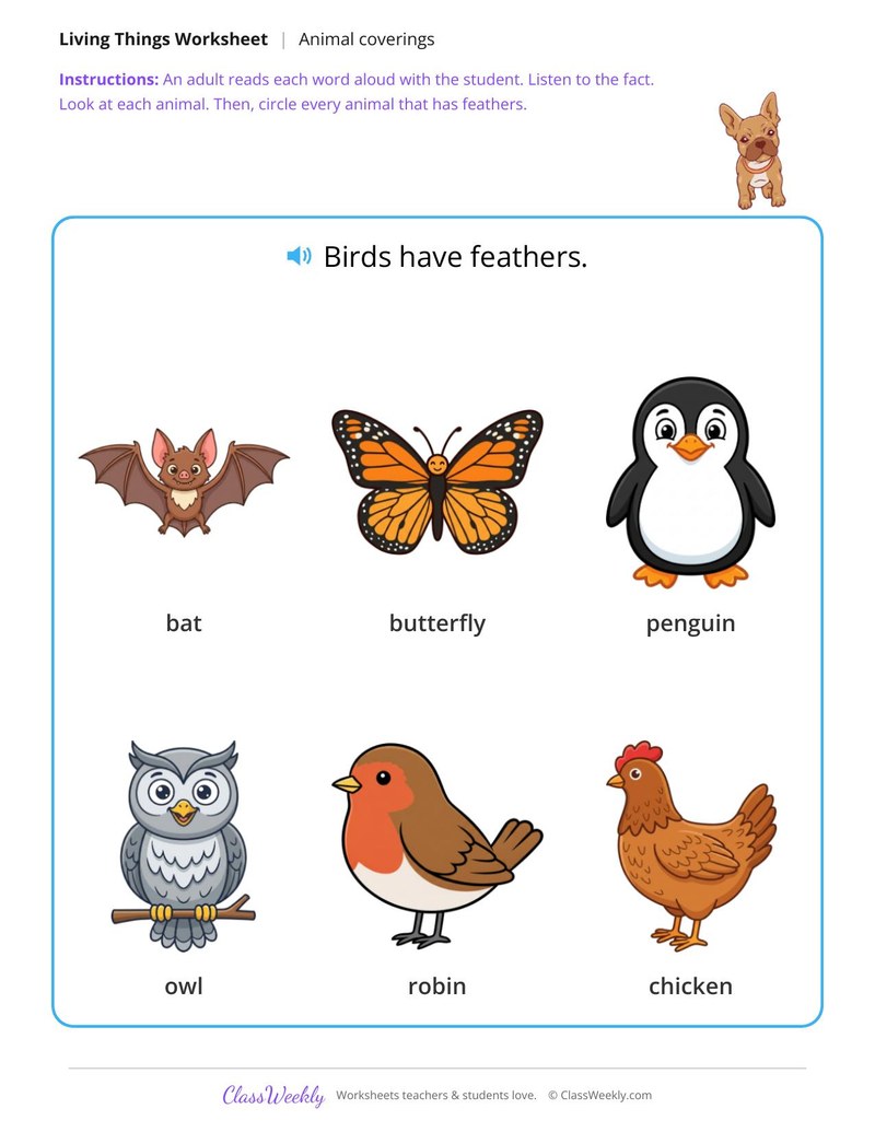 Circle the animals with feathers - Birds
