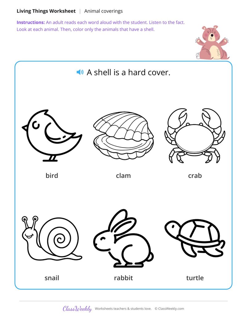 Color the animals with shells - Shells