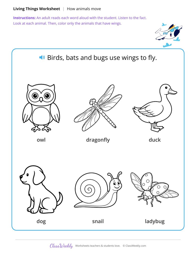 Color the animals with wings - Wings