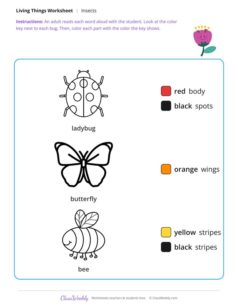 Color the ladybug spots - Color key