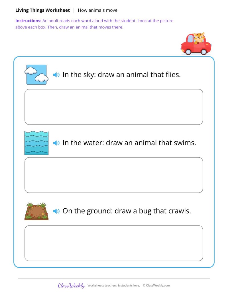 Draw an animal that moves - Fly, swim, crawl