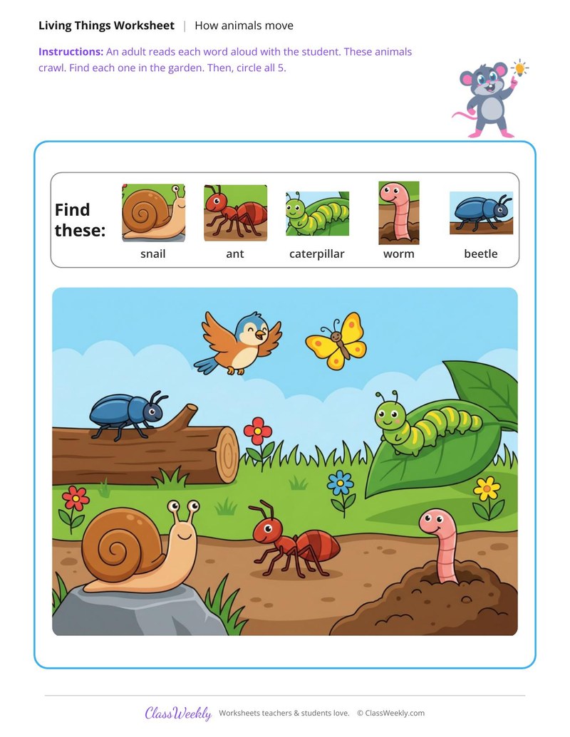 Find the animals that crawl - In the garden