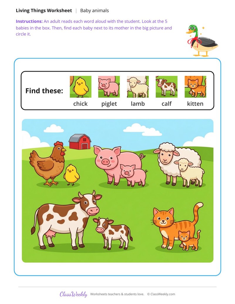 Find the babies - At the farm