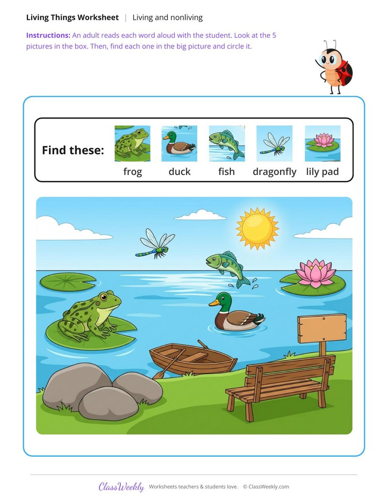 Find the living things - At the pond