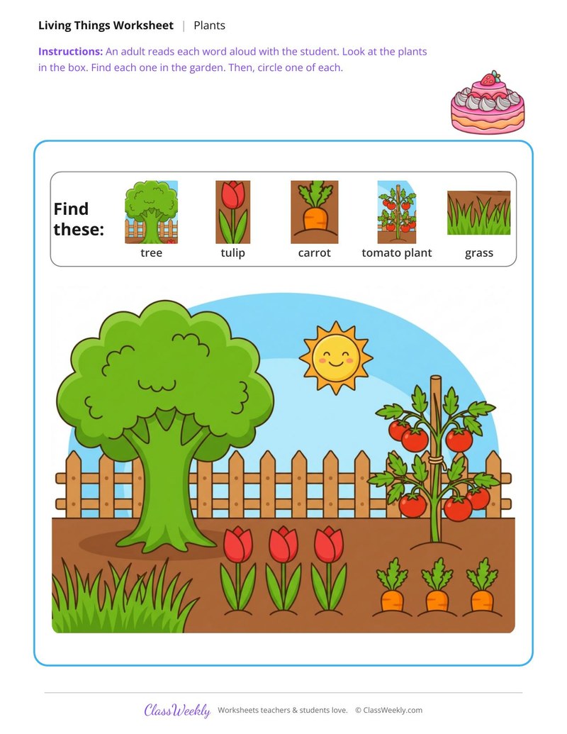 Find the plants - In the garden