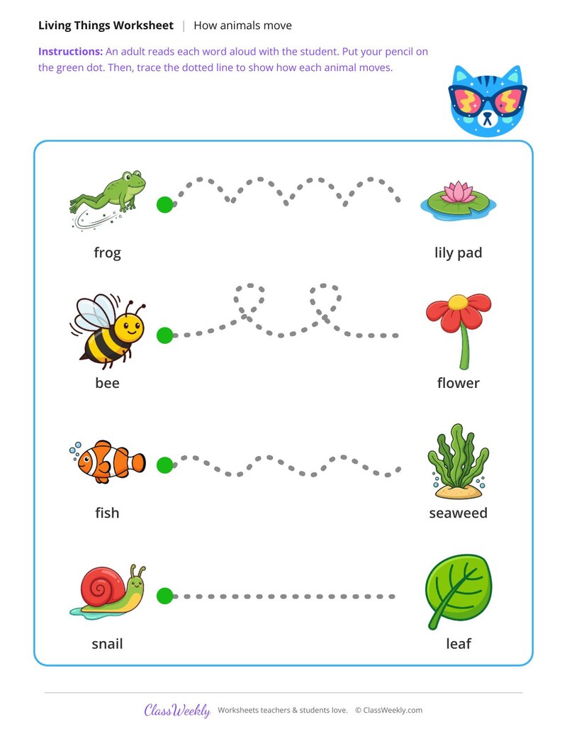 Follow the animal - Movement paths