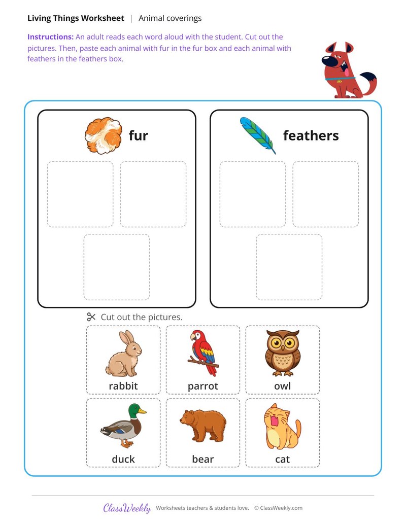 Fur or feathers - Animals