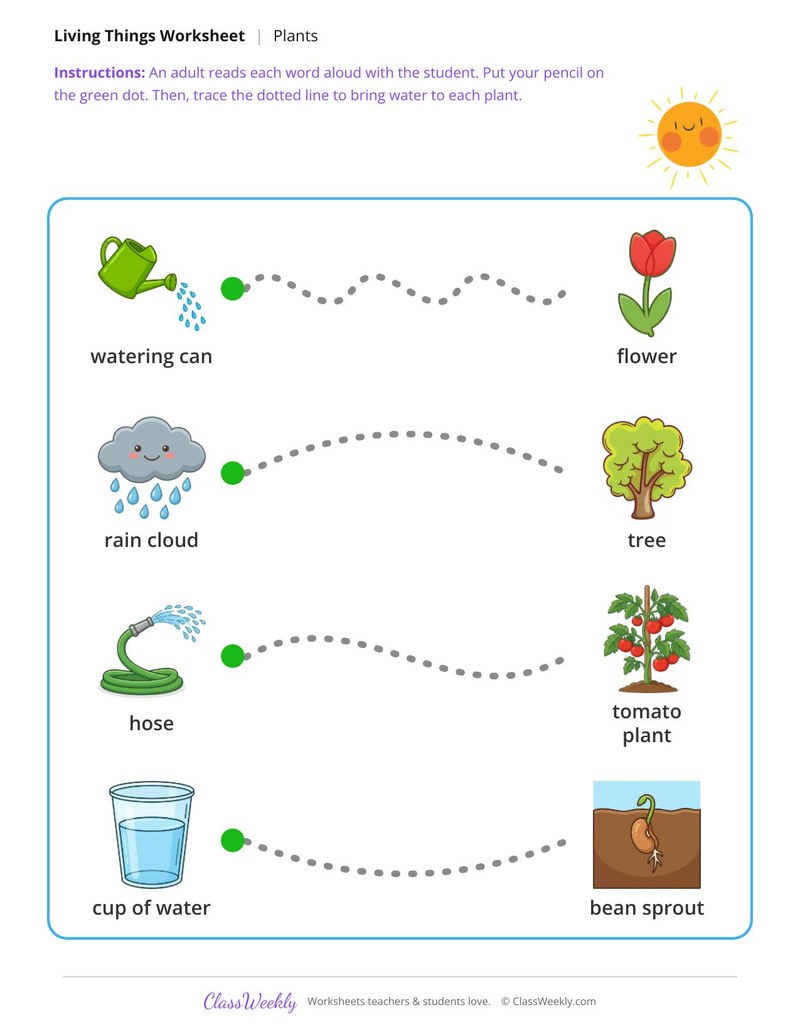 Help the water reach the plants - Watering