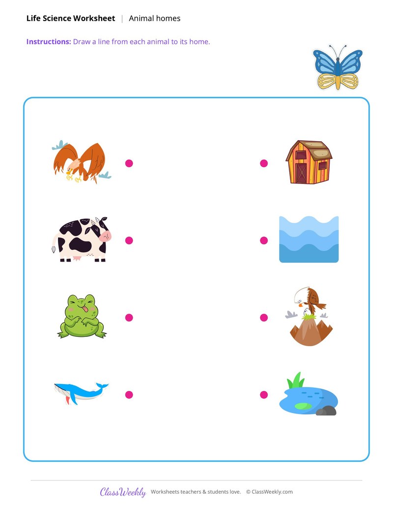 Life Science: Animal homes
