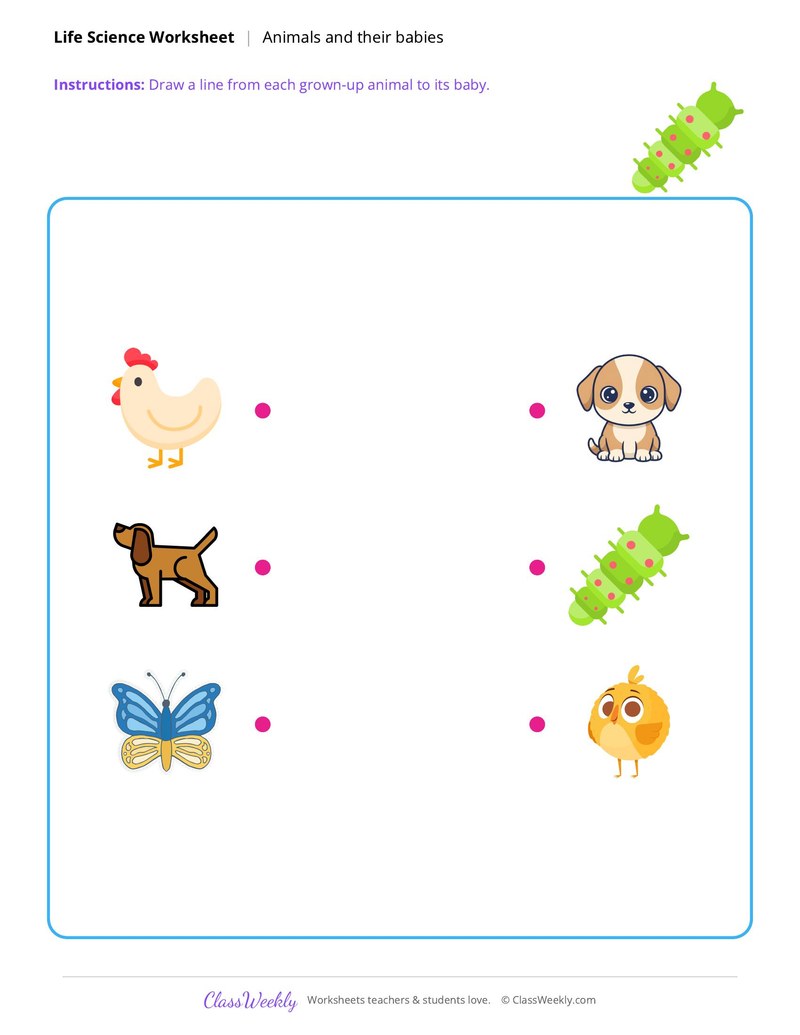 Life Science: Animals and their babies