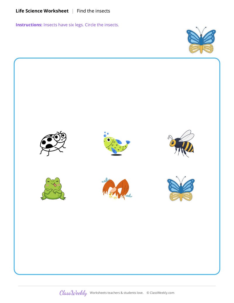 Life Science: Find the insects