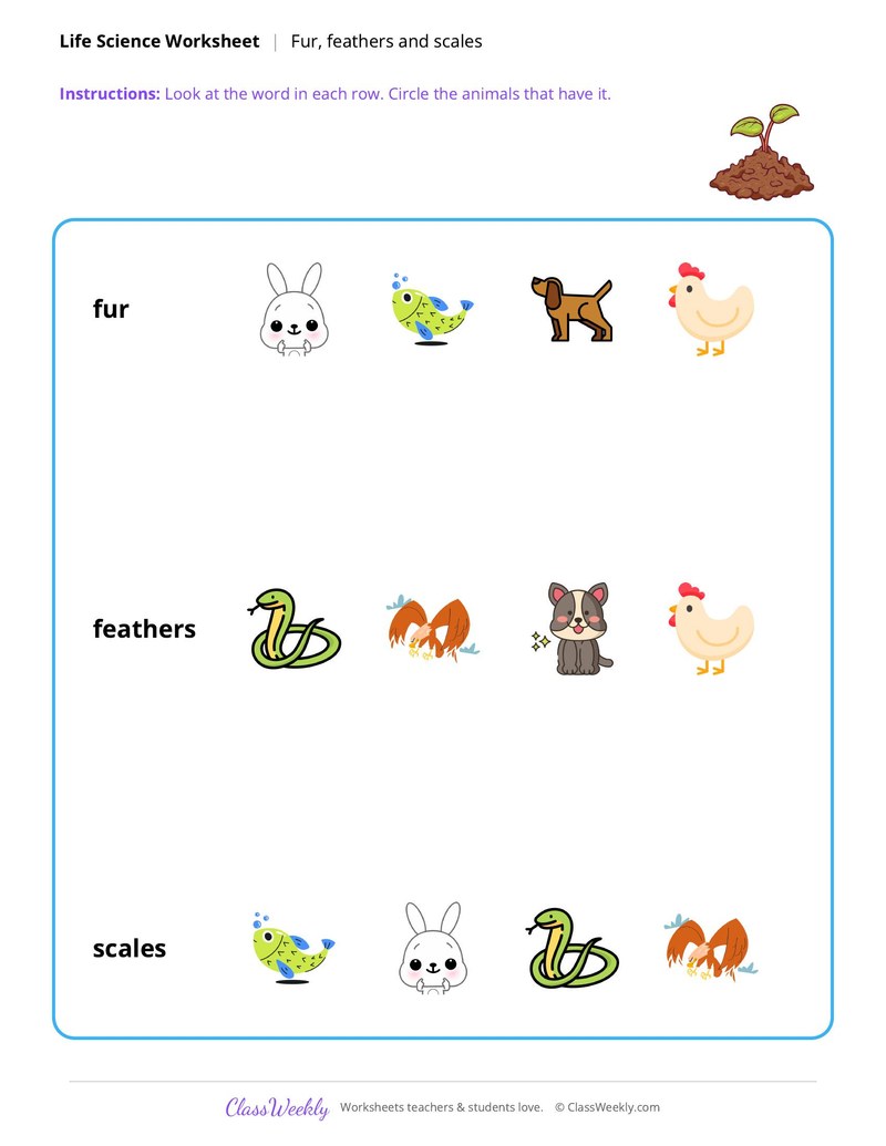 Life Science: Fur, feathers and scales
