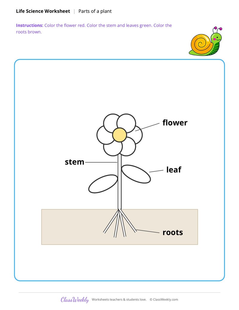 Life Science: Parts of a plant