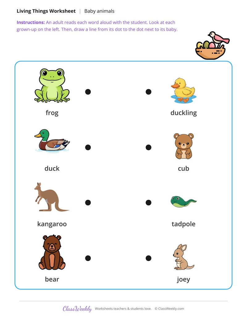 Wild animals