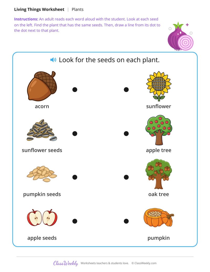 Match the seed to its plant - Seeds