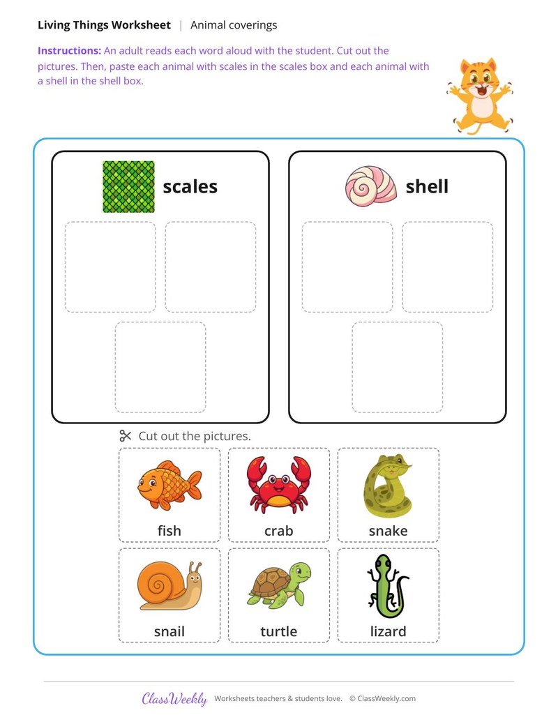 Scales or shell - Animals