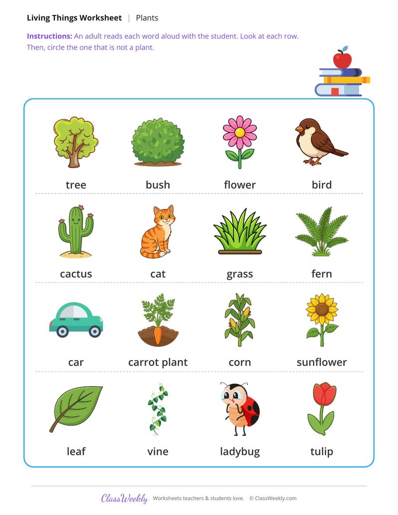 Which one is not a plant? - Four rows