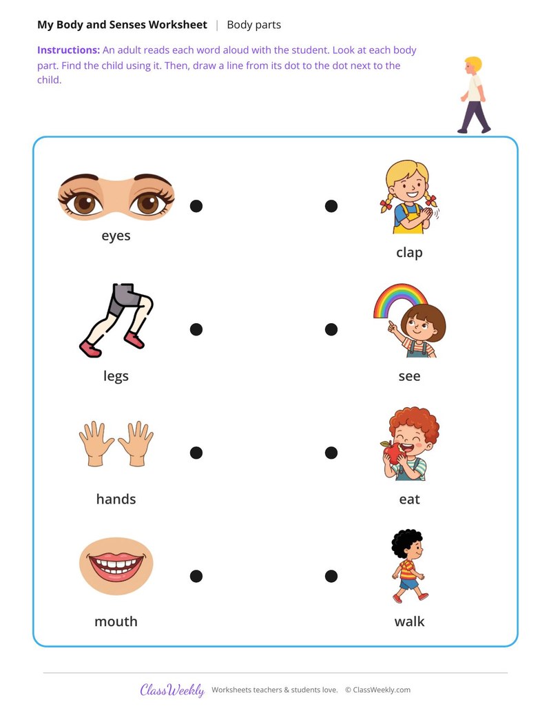 Match the body part to what it does - Body jobs
